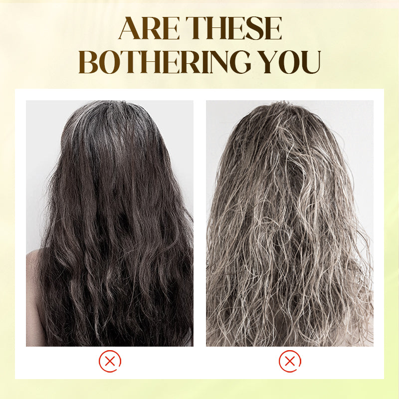 🌿 BUY 2 GET 1 FREE! ✨ Plant Extract Hair Dye for Gray Hair - Natural Formula with Nourishing Botanicals for Damage-Free Color & Shine 💆♀️💫
