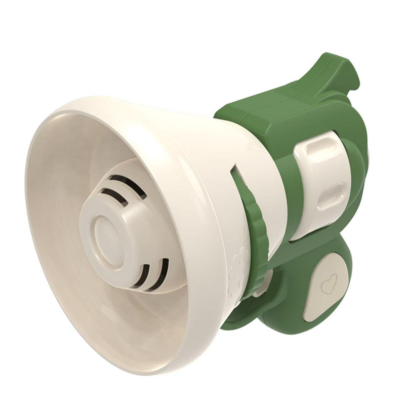 2-in-1 Recordable Megaphone & Projector Toy