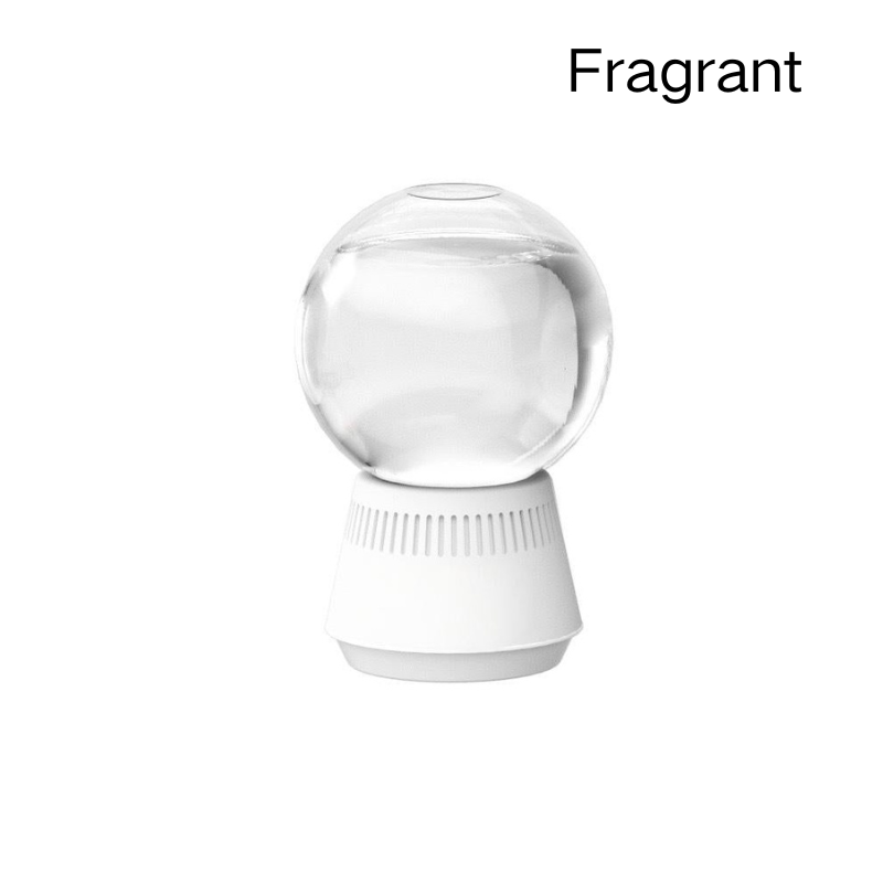 🔥2026 New Arrivals: 50% Off for a Limited Time!🔥Top-Selling Formaldehyde-Removing Home Fragrance Care Products in 2026