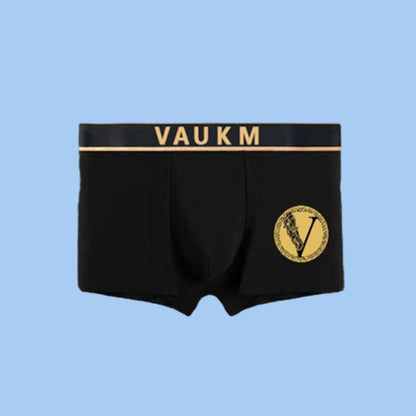 🧲 Magnetic Elegance: Men's Health-Boosting Underwear!