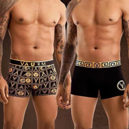 🧲 Magnetic Elegance: Men's Health-Boosting Underwear!