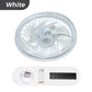 💥2026 HOT SALE 50% OFF💥 2-in-1 Mute Adjustable Fan Light with Remote Control