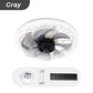 💥2026 HOT SALE 50% OFF💥 2-in-1 Mute Adjustable Fan Light with Remote Control