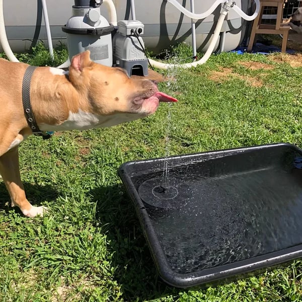 🎁HOT SALE 49% OFF 🎁Solar Powered Fountain