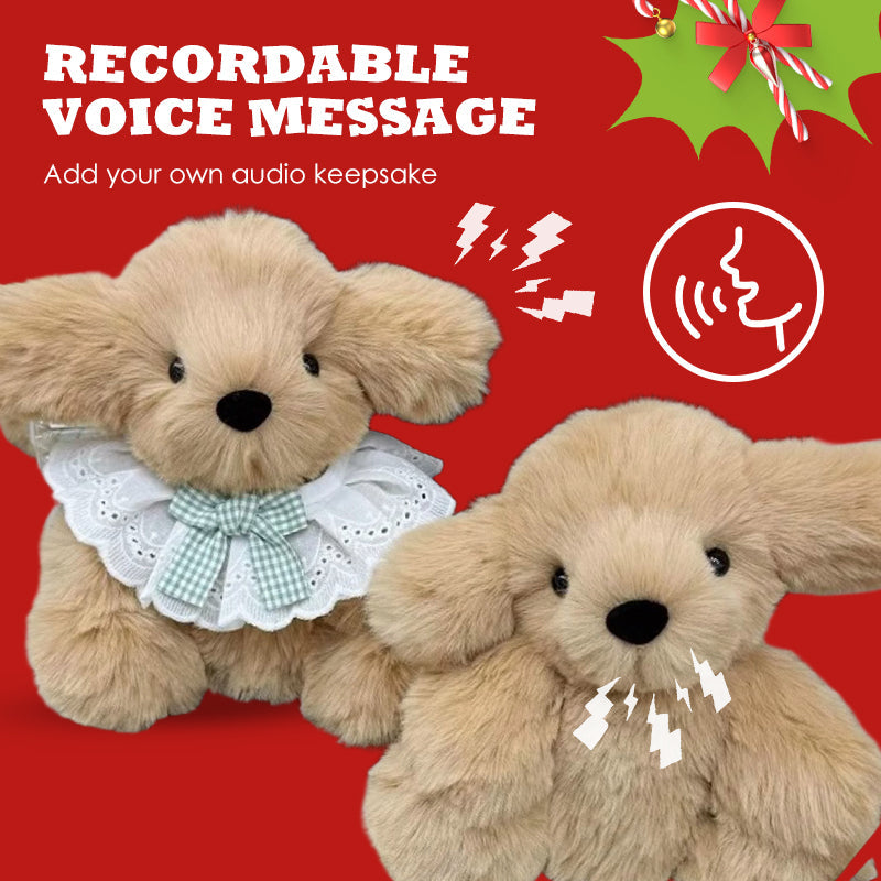 🧸Last Day 50% OFF🎁 The Best Gift of 2025🔥DIY Christmas Recording Plush Dolls Kit