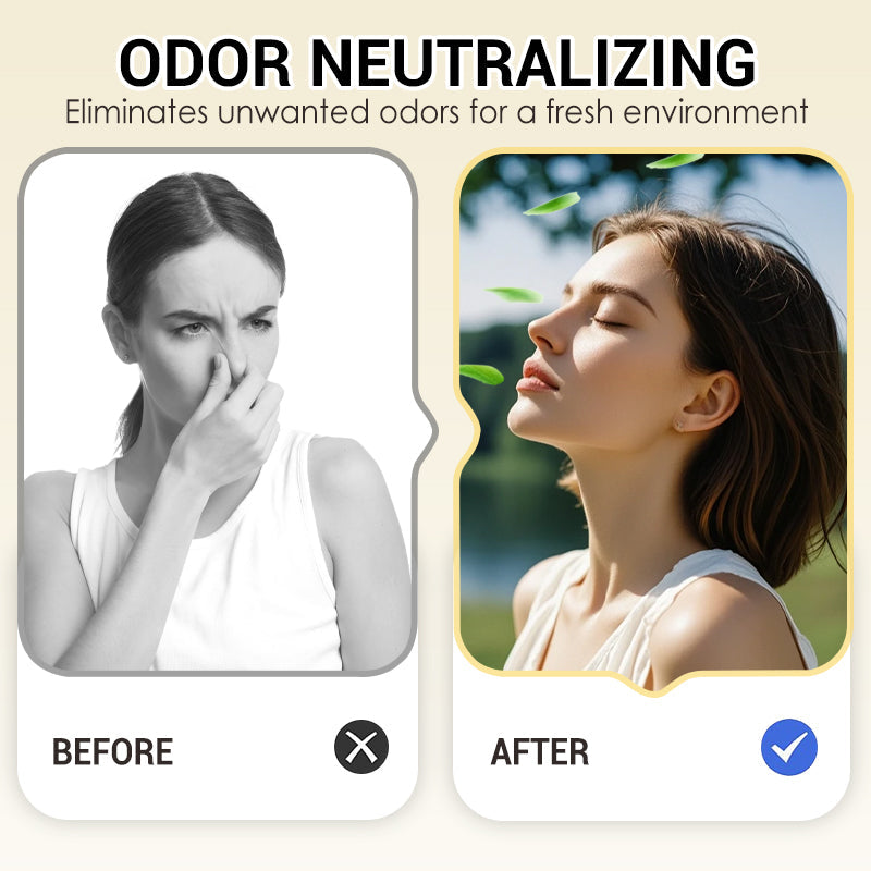 🔥2026 New Arrivals: 50% Off for a Limited Time!🔥Top-Selling Formaldehyde-Removing Home Fragrance Care Products in 2026