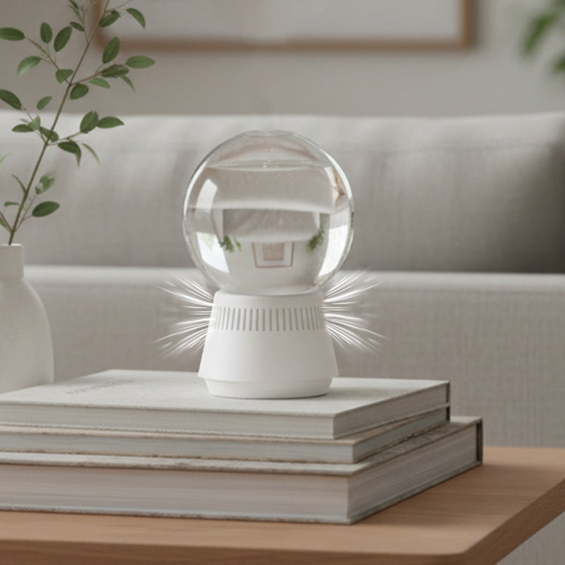 🔥2026 New Arrivals: 50% Off for a Limited Time!🔥Top-Selling Formaldehyde-Removing Home Fragrance Care Products in 2026