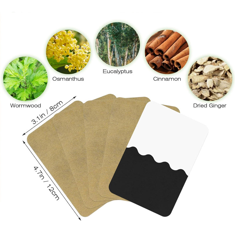 ⏳Hot Sale - 50% OFF⏰ Ginger Pain Relief Patches – Natural Heat Therapy for Aches & Stiffness | Stick It Where It Hurts! 💆‍♀️