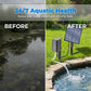 ✨Solar Pond Aerator with Air Pump